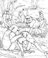A coloring page of nature in africa